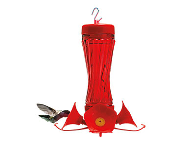 Hummingbird feeders available at Aldi stores