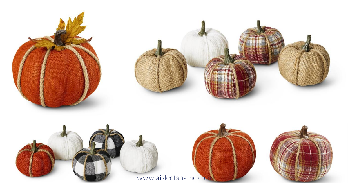 All the Aldi Fall Decor Coming in September Aisle of Shame