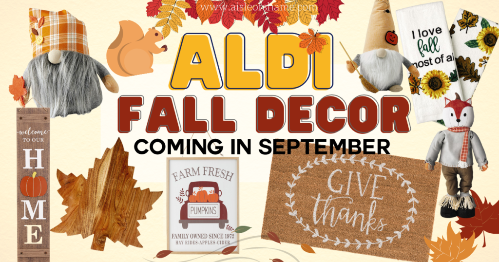 All the Aldi Fall Decor Coming in September