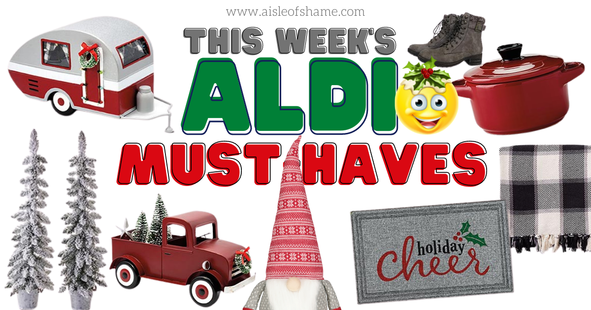 Holiday Rugs, Vintage Decor, and More Items You Miss Aldi This Week - AisleofShame.com