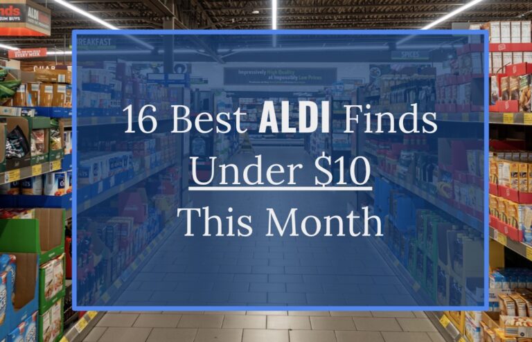 16 Best Aldi Finds Under $10 This Month - Aisleofshame.com