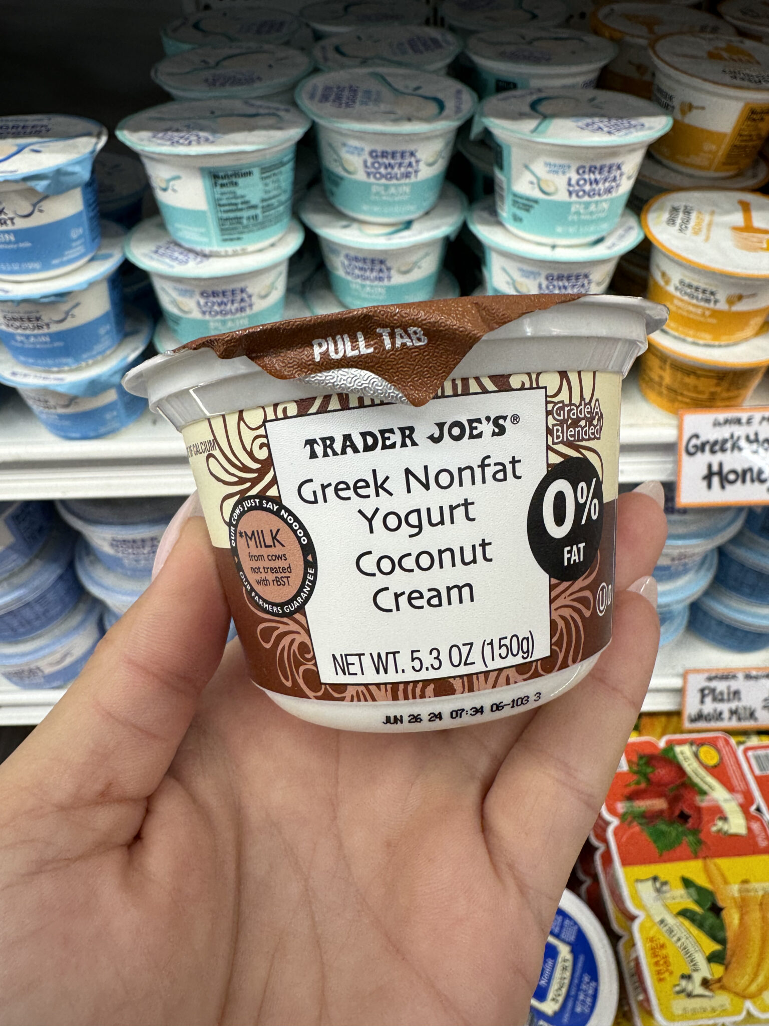 Top Trader Joes Yogurts You Must Try A Flavorful Ranking Guide 8571