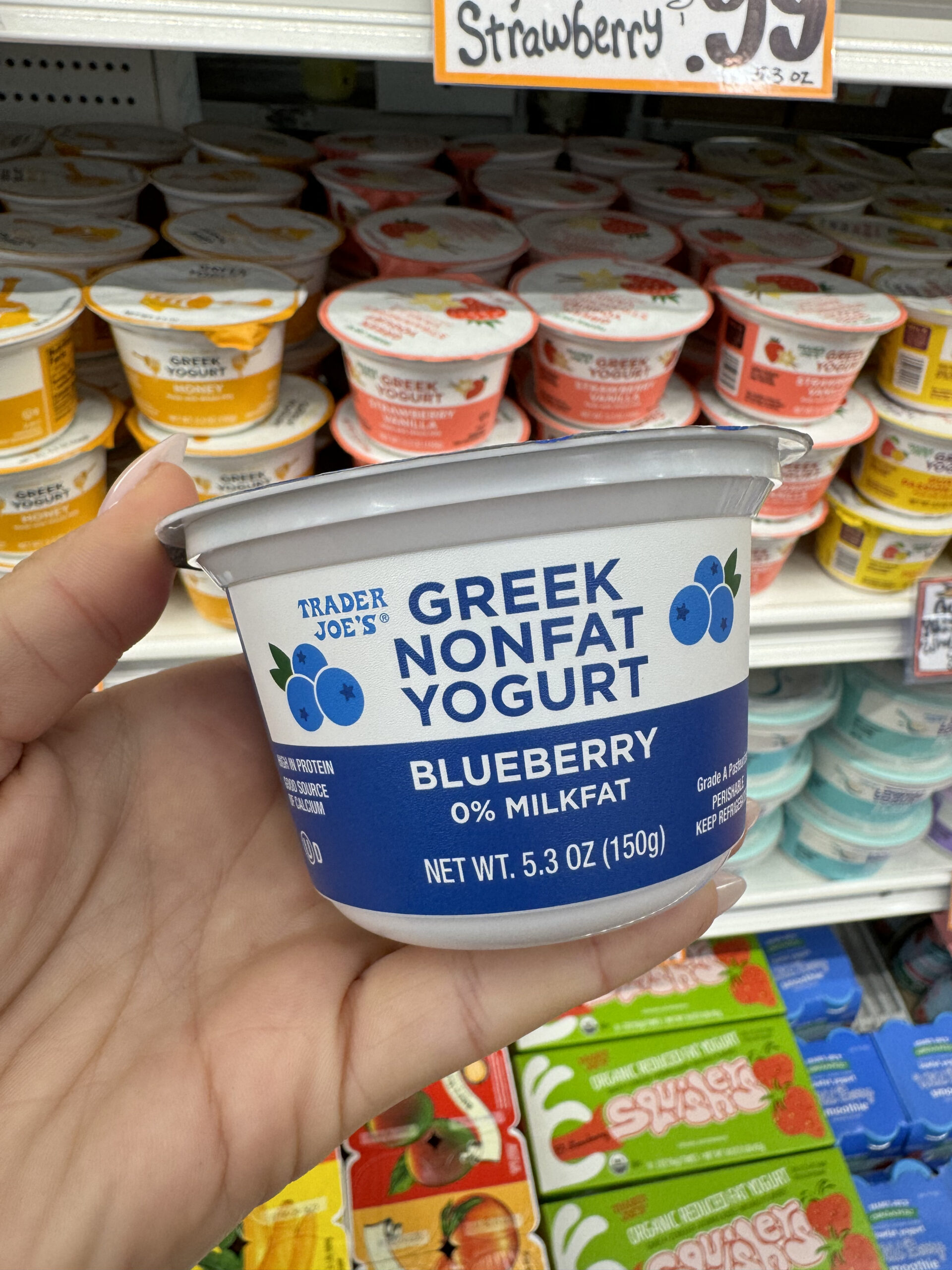 Top Trader Joes Yogurts You Must Try A Flavorful Ranking Guide 0821