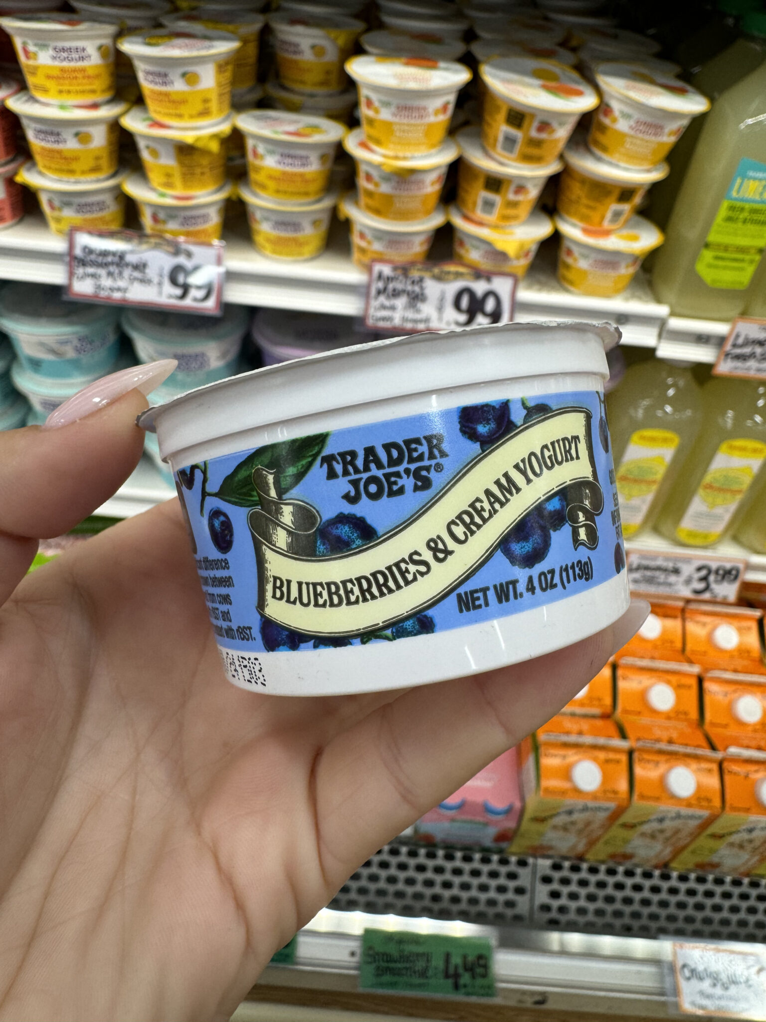 Top Trader Joes Yogurts You Must Try A Flavorful Ranking Guide 3458