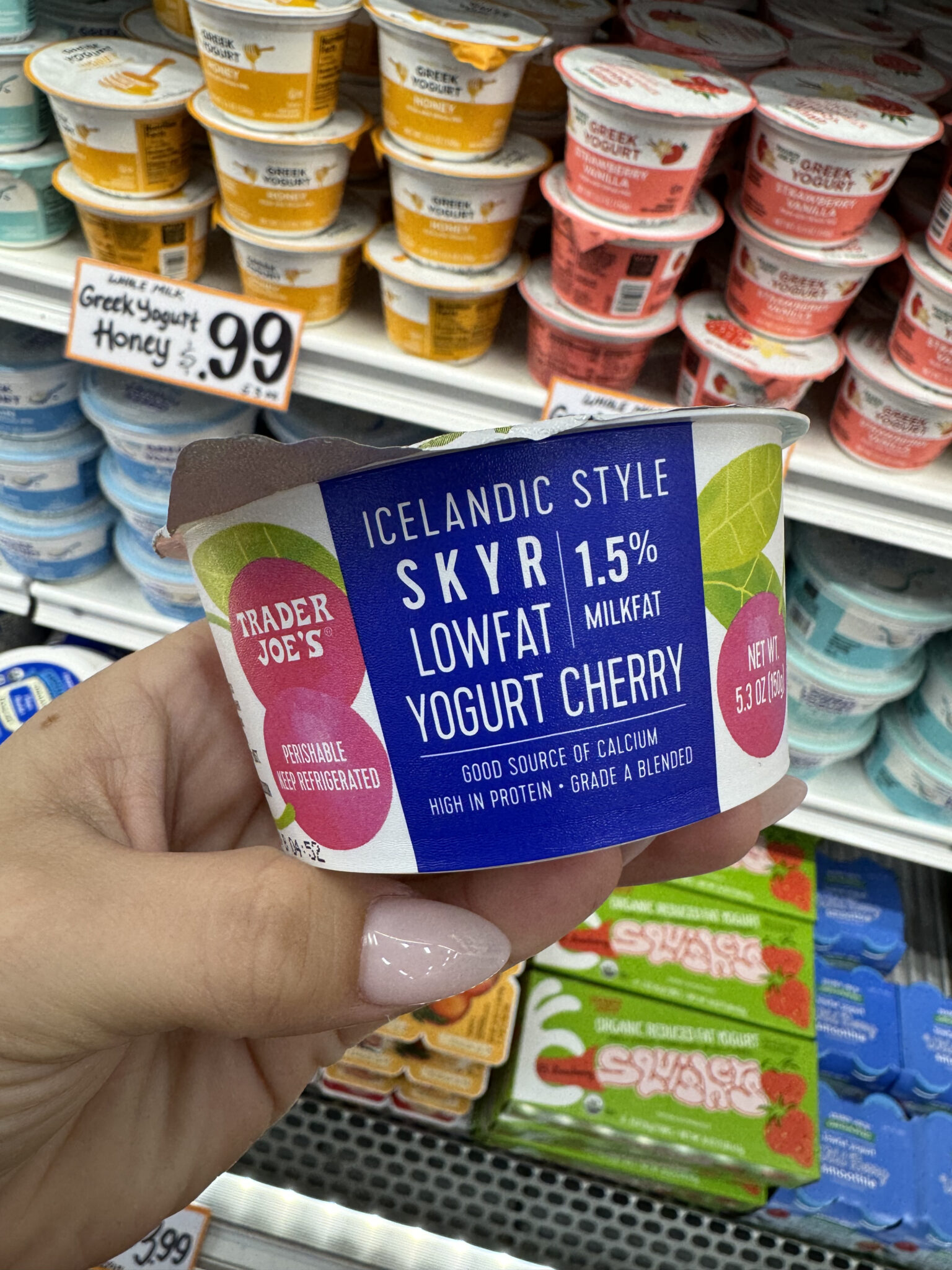 Top Trader Joes Yogurts You Must Try A Flavorful Ranking Guide 8086