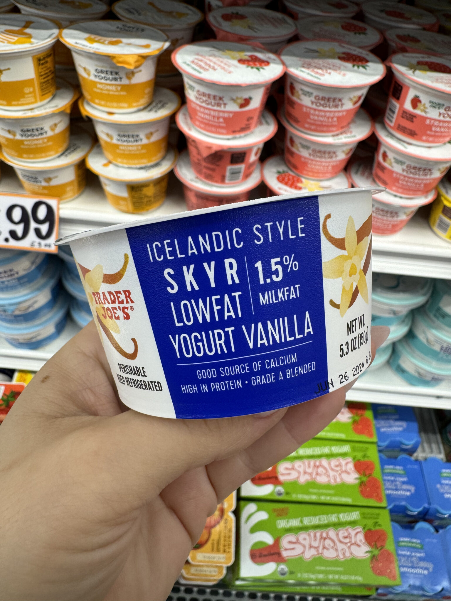 Top Trader Joes Yogurts You Must Try A Flavorful Ranking Guide 8833