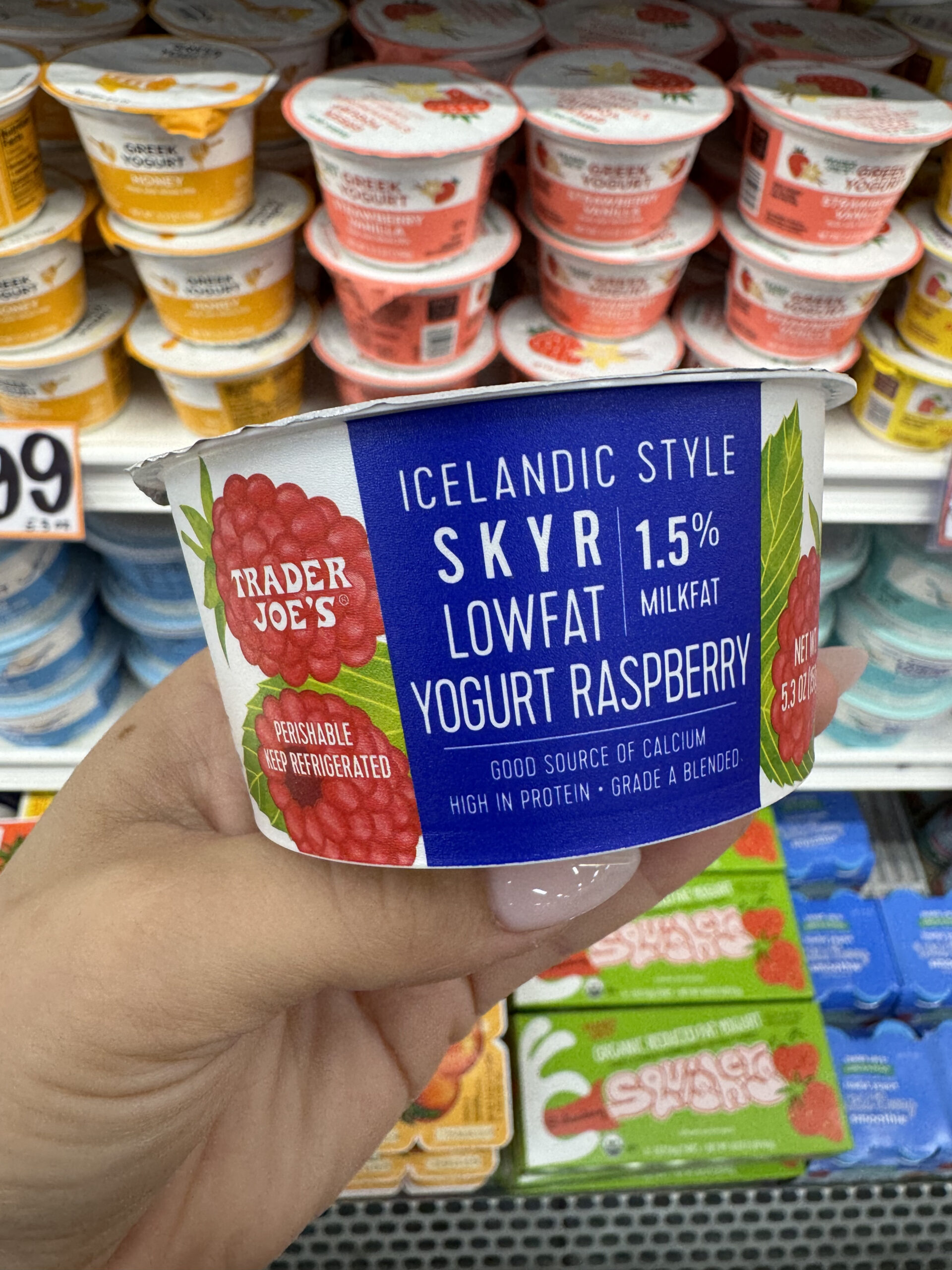 Top Trader Joes Yogurts You Must Try A Flavorful Ranking Guide 5609